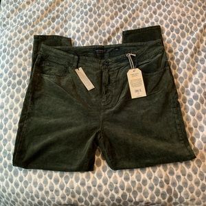Green velvet stretchy pants/leggings 20w